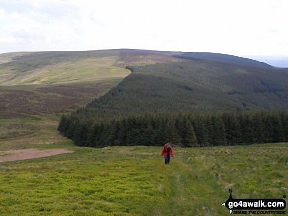 Walk n140 Cushat Law and Bloodybush Edge from Alwinton - Wether Cairn and Kidland Forest from Cushat Law