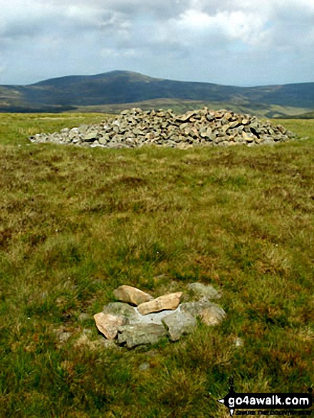 Walk n140 Cushat Law and Bloodybush Edge from Alwinton - Cushat Law summit cairn and shelter with The Cheviot in the distance