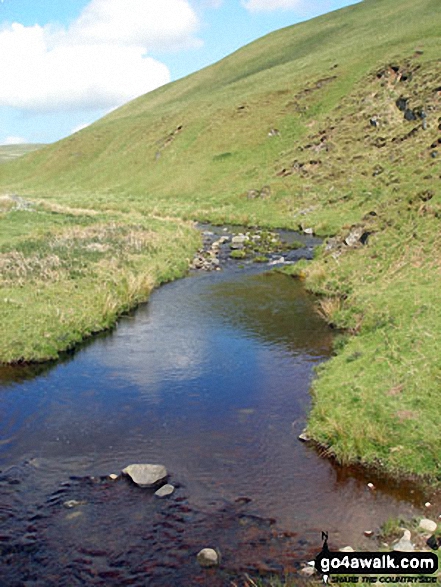 Walk n140 Cushat Law and Bloodybush Edge from Alwinton - Usway Burn