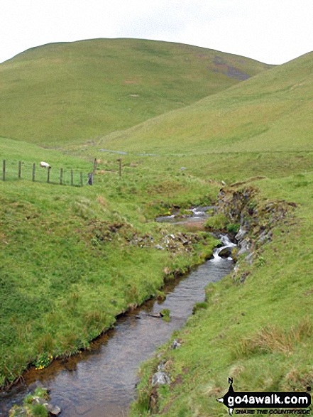 Walk n157 Swineside Law and Windy Gyle from Wedder Leap, Barrowburn - Rowhope Burn