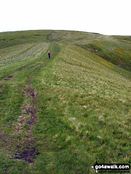 Walk n157 Swineside Law and Windy Gyle from Wedder Leap, Barrowburn - Climbing Windy Gyle via the Pennine Way