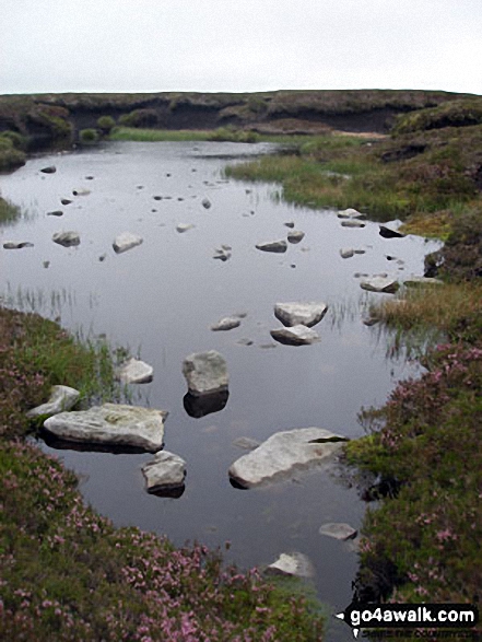 Walk du126 Bink Moss from Holwick - Pool on Bink Moss summit