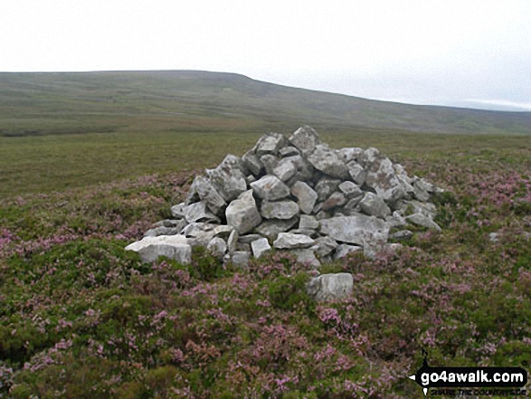 Walk du126 Bink Moss from Holwick - Bink Moss from Hagworm Hill