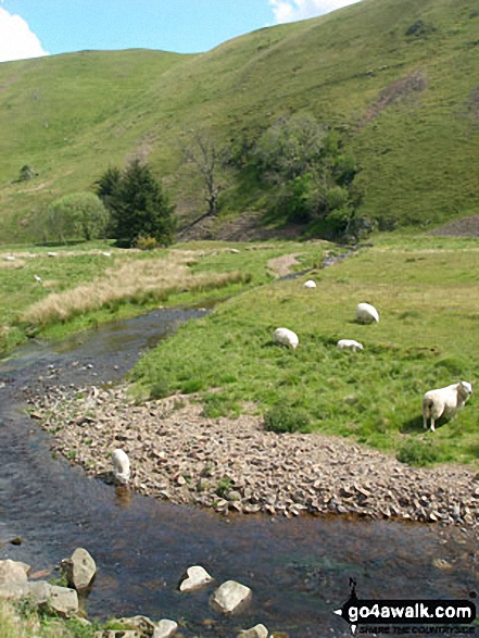 Walk n140 Cushat Law and Bloodybush Edge from Alwinton - River Alwin north of Alwinton