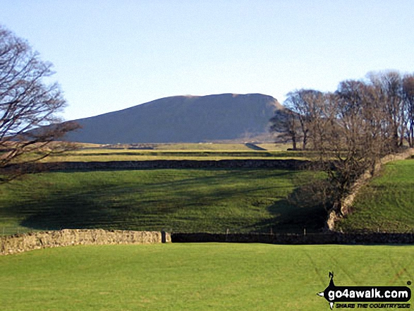 Pen-y-ghent from Horton in Ribblesdale