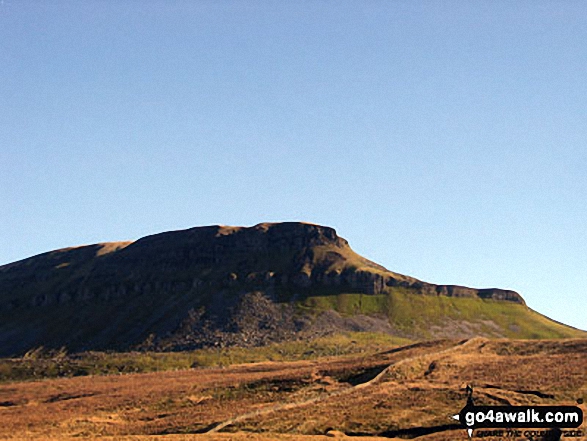 Approaching Pen-y-ghent from Brackenbottom