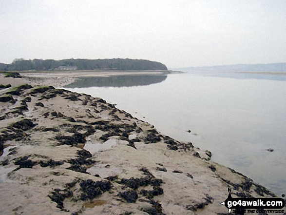 Walk c121 Tarn Hows and Yew Tree Tarn from Tom Gill - Not a breath of wind on Arnside Sands, Morecambe Bay