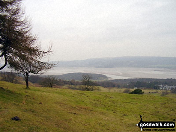 Morecambe Bay from the summit of Arnside Knott