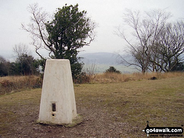 Walk c359 Arnside Knott from Arnside (Morecambe Bay) - Arnside Knott summit trig point