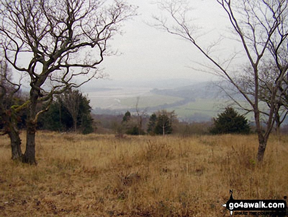 Morecambe Bay through the trees from Arnside Knott