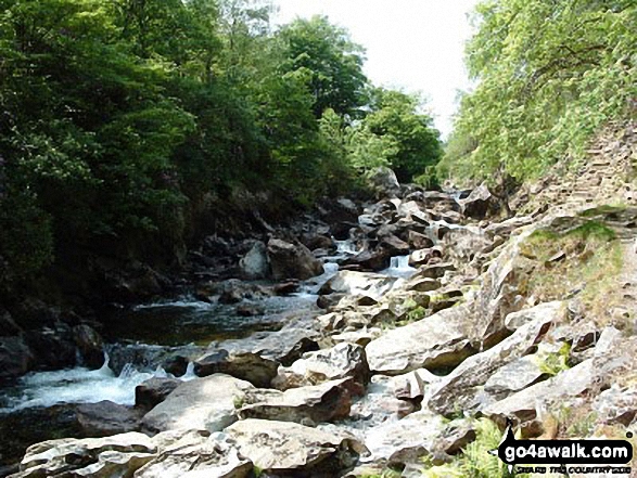 Walk gw144 Grib Ddu and Beddgelert from Nantmoor - Afon Abergaslyn nr Beddgelert