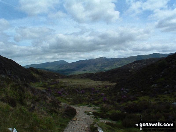 Walk gw144 Grib Ddu and Beddgelert from Nantmoor - Path to Llyn Dinas