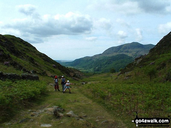 The Moel Hebog from Grib Ddu 