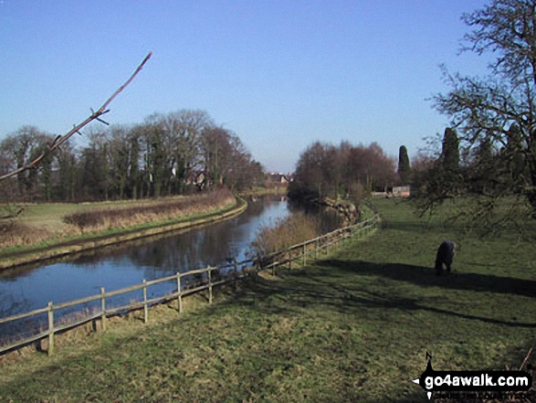 Walk ch120 The Bridgewater Canal from Lymm - The Bridgewater Canal