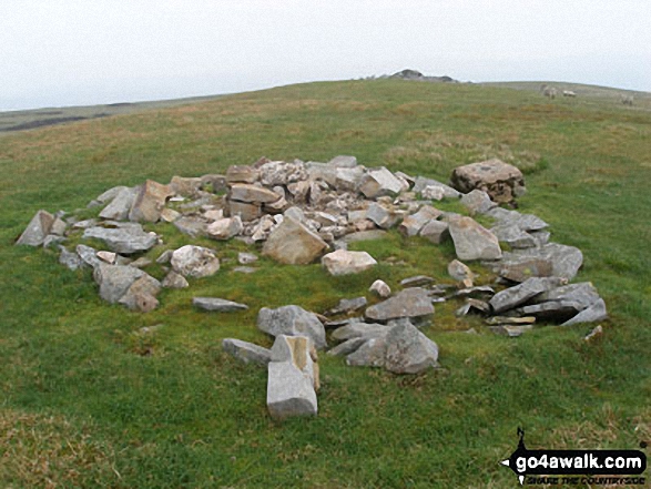 Walk Meldon Hill (Dufton Fell) walking UK Mountains in The North Pennines  Cumbria, England