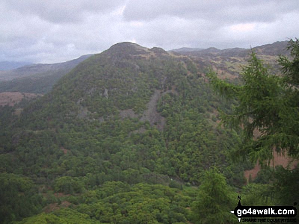 Walk c135 Castle Crag and Rosthwaite from Seatoller (Borrowdale) - Shepherds Crag from Castle Crag