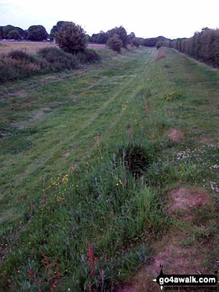 The (former) Portsmouth and Arundel Navigation Canal beyond Tilebarn Farm, Barnham 