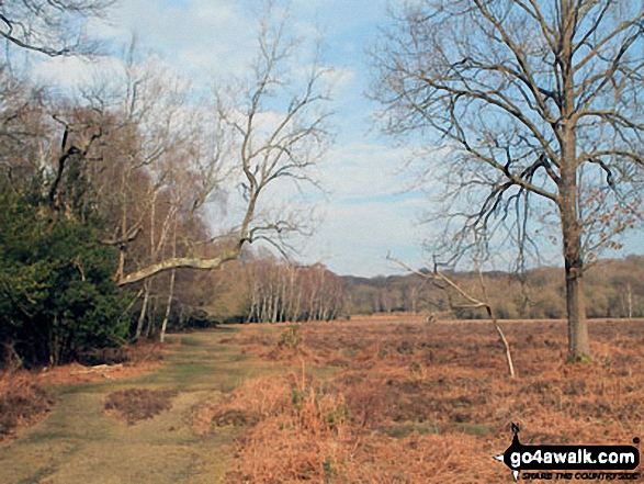 Walk ha109 Lyndhurst Hill and Swan Green from Lyndhurst - White Moor