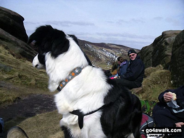 Walk s228 The Roaches and Hen Cloud from Meerbrook - Lunch on Hen Cloud the Roaches