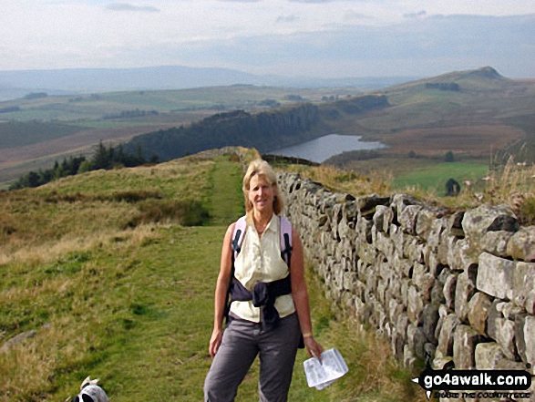 Walk n100 Hadrian's Wall and Vindolanda from Housesteads - On Hadrian's Wall between Hotbank and Housesteads