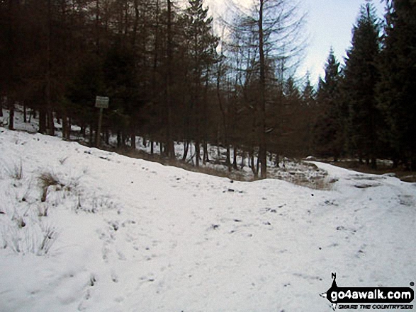 Walk d298 Back Tor and Margery Hill from Fairholmes Car Park, Ladybower Reservoir - Deep snow on the lane beside Derwent Reservoir in the Upper Derwent Valley