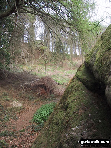 The Suck Stone, Highmeadow Woods 