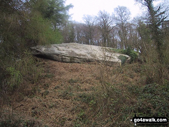 Walk gl130 The Suck Stone from Symonds Yat - The Suck Stone, Highmeadow Woods