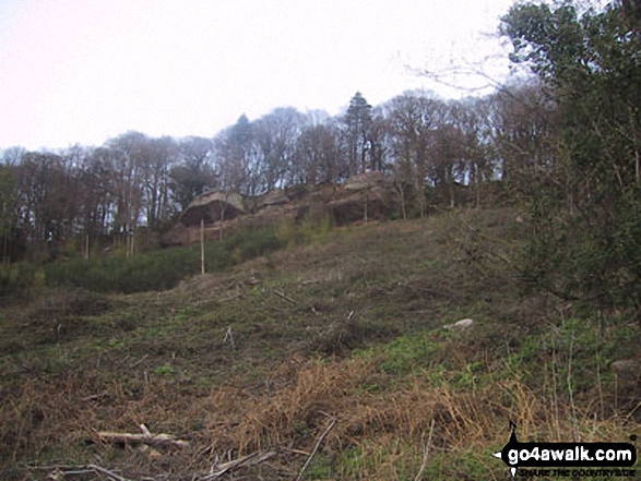 Near Hearkening Rock, Highmeadow Woods 