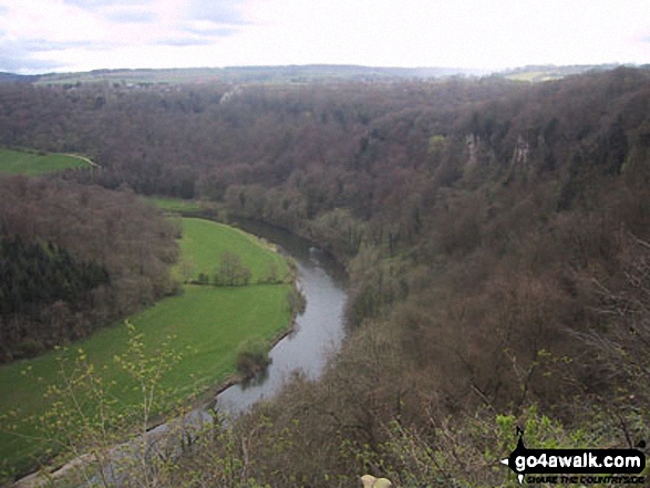 Walk gl130 The Suck Stone from Symonds Yat - The River Wye Coldwell Rocks from Symonds Yat Rock