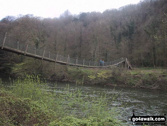 Walk gl107 Highmeadow Woods from Symonds Yat - Suspension Bridge over the River Wye