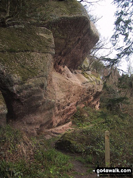 Walk gl107 Highmeadow Woods from Symonds Yat - Near Hearkening Rock, Highmeadow Woods