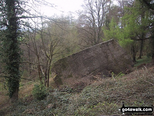 Walk gl130 The Suck Stone from Symonds Yat - The Suck Stone, Highmeadow Woods