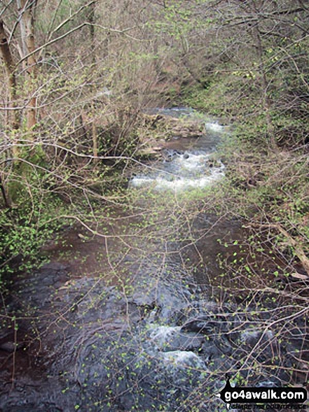 Walk po129 The Grwyne Fechan Round - Grwyne Fechan near Llanbedr