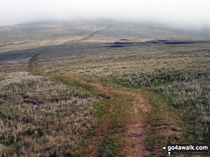 Walk c112 Bonscale Pike and Wether Hill from Howtown - The ridge path between Wether Hill and Loadpot Hill