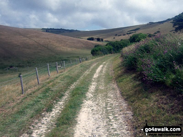 Walk es152 Beachy Head and Birling Gap from East Dean - Walking along Ringwood Bottom