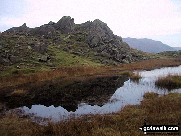 Walk c105 Lang How and Silver How from Grasmere - Dow Bank Tarn