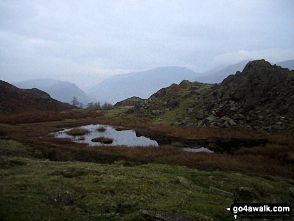 Dow Bank Tarn 