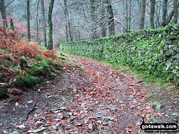 Walk c152 Calf Crag and Helm Crag from Grasmere - Autumn colours near Grasmere