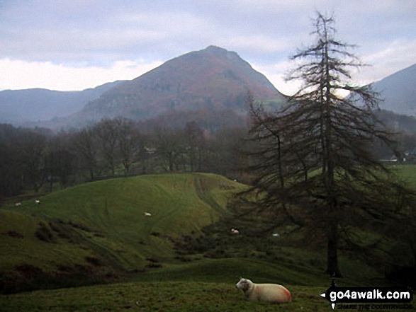 Walk c152 Calf Crag and Helm Crag from Grasmere - Helm Crag from Grasmere