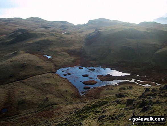 Walk c105 Lang How and Silver How from Grasmere - Lang How Tarn from Lang How