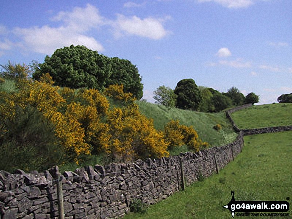 Walk d233 Alsop en le Dale from Tissington - The Tissington Trail nr Tissington Village