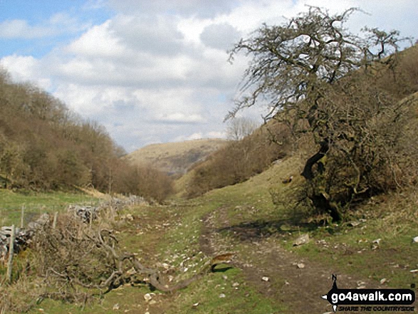 Walk d204 Deep Dale, Taddington, Sough Top, The Limestone Way and Flagg from Monyash - Looking North along Deep Dale