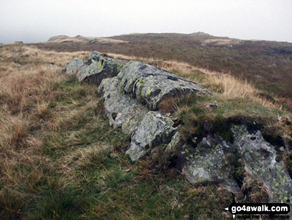 Long Crag (Bannisdale Fell) Photo by David Elliott