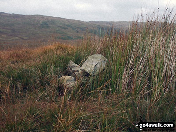 Walk Lamb Pasture walking UK Mountains in The Far Eastern Marches The Lake District National Park Cumbria, England