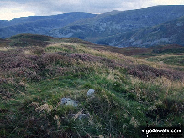 Walk c472 The Naddle Horseshoe from Hazel Shaw - Kit Crag (Naddle Forest) summit cairn