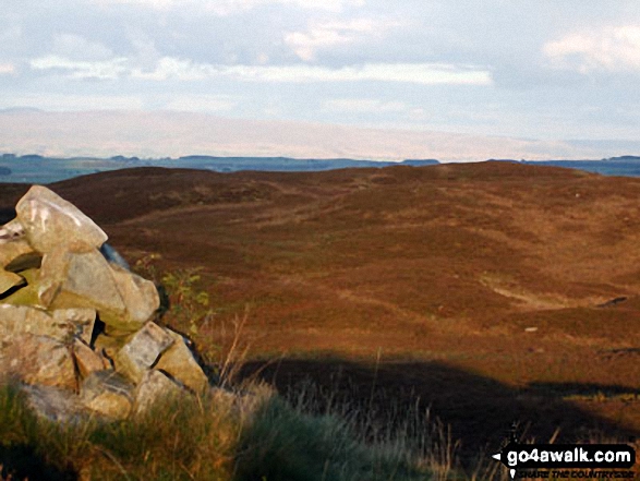 Walk c472 The Naddle Horseshoe from Hazel Shaw - Wallow Crag (Naddle Forest) summit cairn