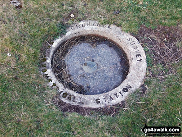 Knipescar Common summit trig point