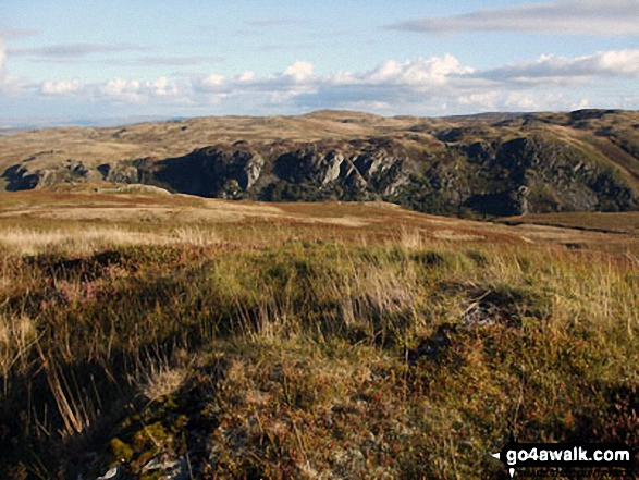 Walk c472 The Naddle Horseshoe from Hazel Shaw - Powley's Hill summit