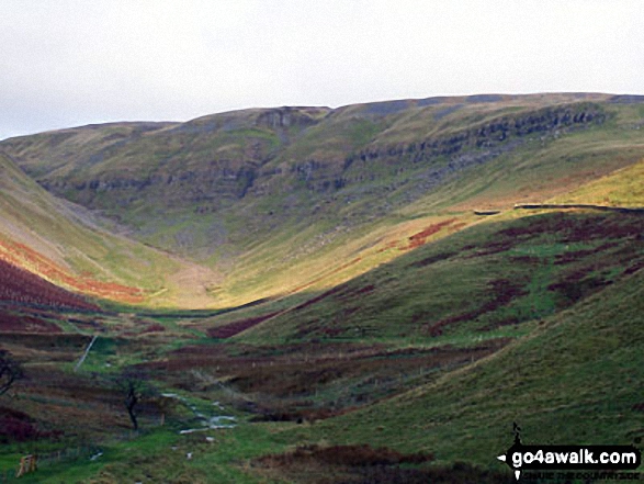 Backstone Edge and Brownber Hill from near Dufton Pike