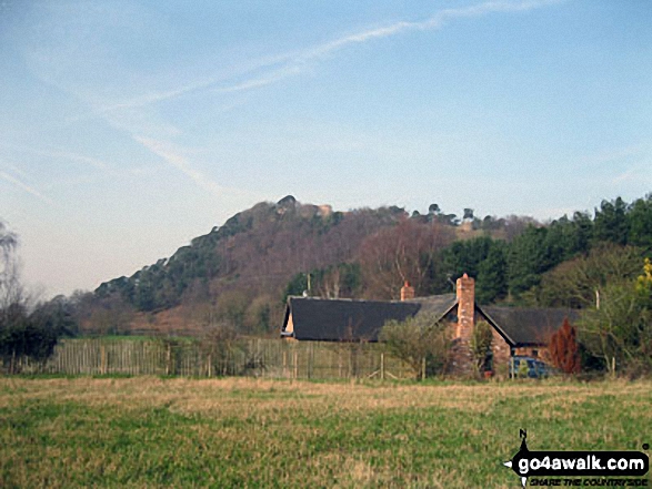 Walk ch142 The Sandstone Trail, Beeston Castle and Higher Burwardsley from Tarporley - Beeston Castle from near Peckforton Woods